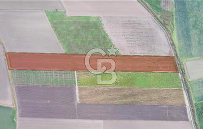 Akhisar Satılık  21.250 m2 Tarla