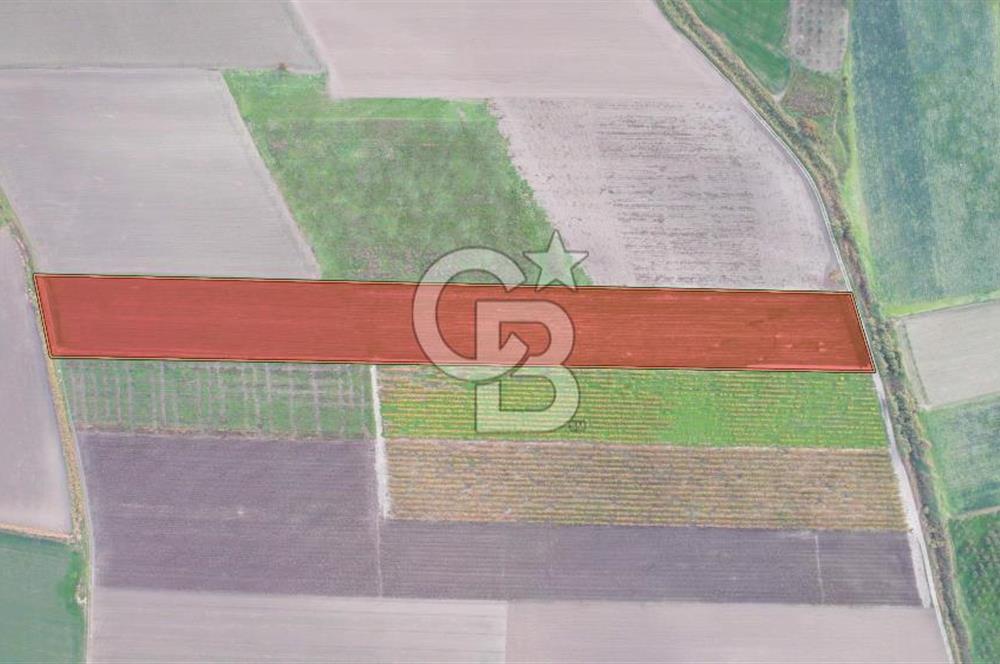 Akhisar Satılık  21.250 m2 Tarla
