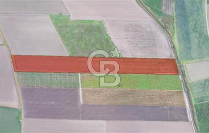 Akhisar Satılık  21.250 m2 Tarla
