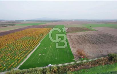 Akhisar Satılık  21.250 m2 Tarla