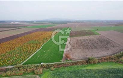 Akhisar Satılık  21.250 m2 Tarla