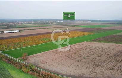 Akhisar Satılık  21.250 m2 Tarla