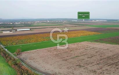 Akhisar Satılık  21.250 m2 Tarla