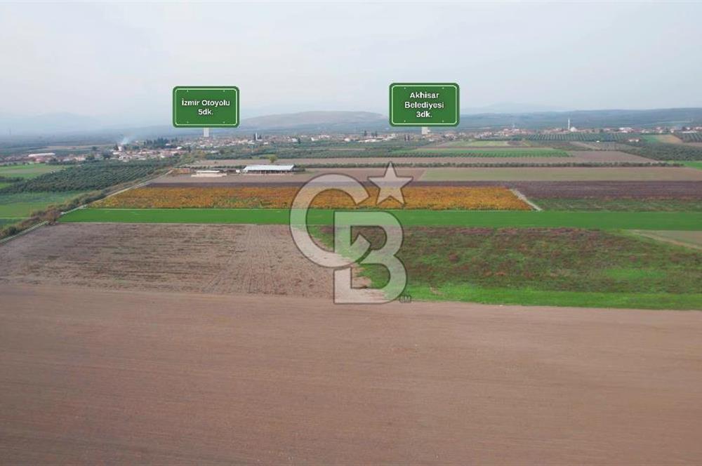 Akhisar Satılık  21.250 m2 Tarla