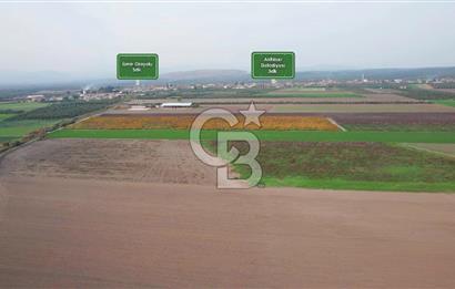 Akhisar Satılık  21.250 m2 Tarla