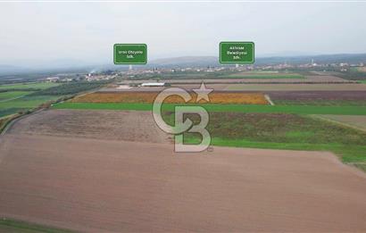 Akhisar Satılık  21.250 m2 Tarla