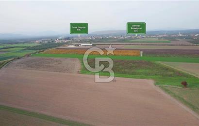 Akhisar Satılık  21.250 m2 Tarla