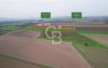 Akhisar Satılık  21.250 m2 Tarla