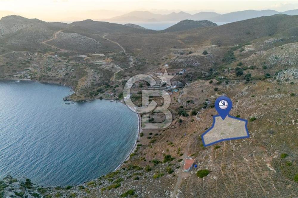 CB MARİNA' DAN BOZBURUN'DA DENİZE YÜRÜME MESAFESİ SATILIK TARLA