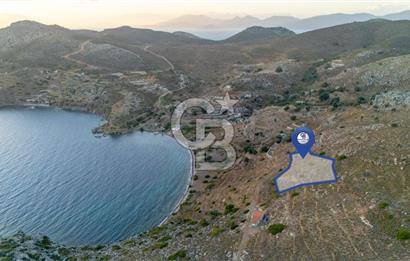 CB MARİNA' DAN BOZBURUN'DA DENİZE YÜRÜME MESAFESİ SATILIK TARLA