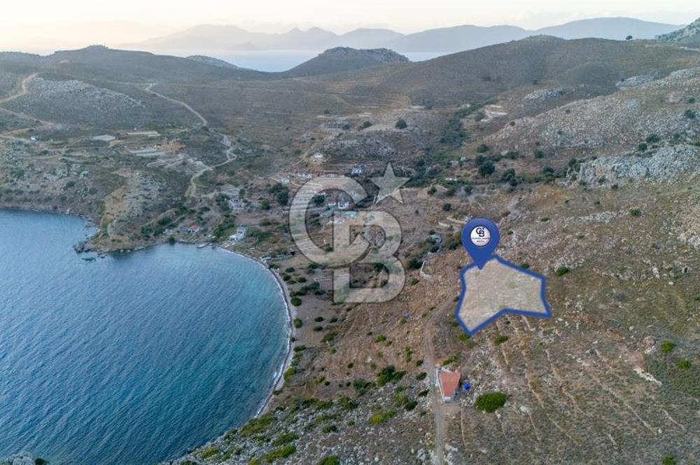 CB MARİNA' DAN BOZBURUN'DA DENİZE YÜRÜME MESAFESİ SATILIK TARLA