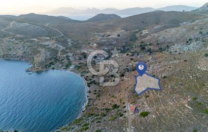 CB MARİNA' DAN BOZBURUN'DA DENİZE YÜRÜME MESAFESİ SATILIK TARLA