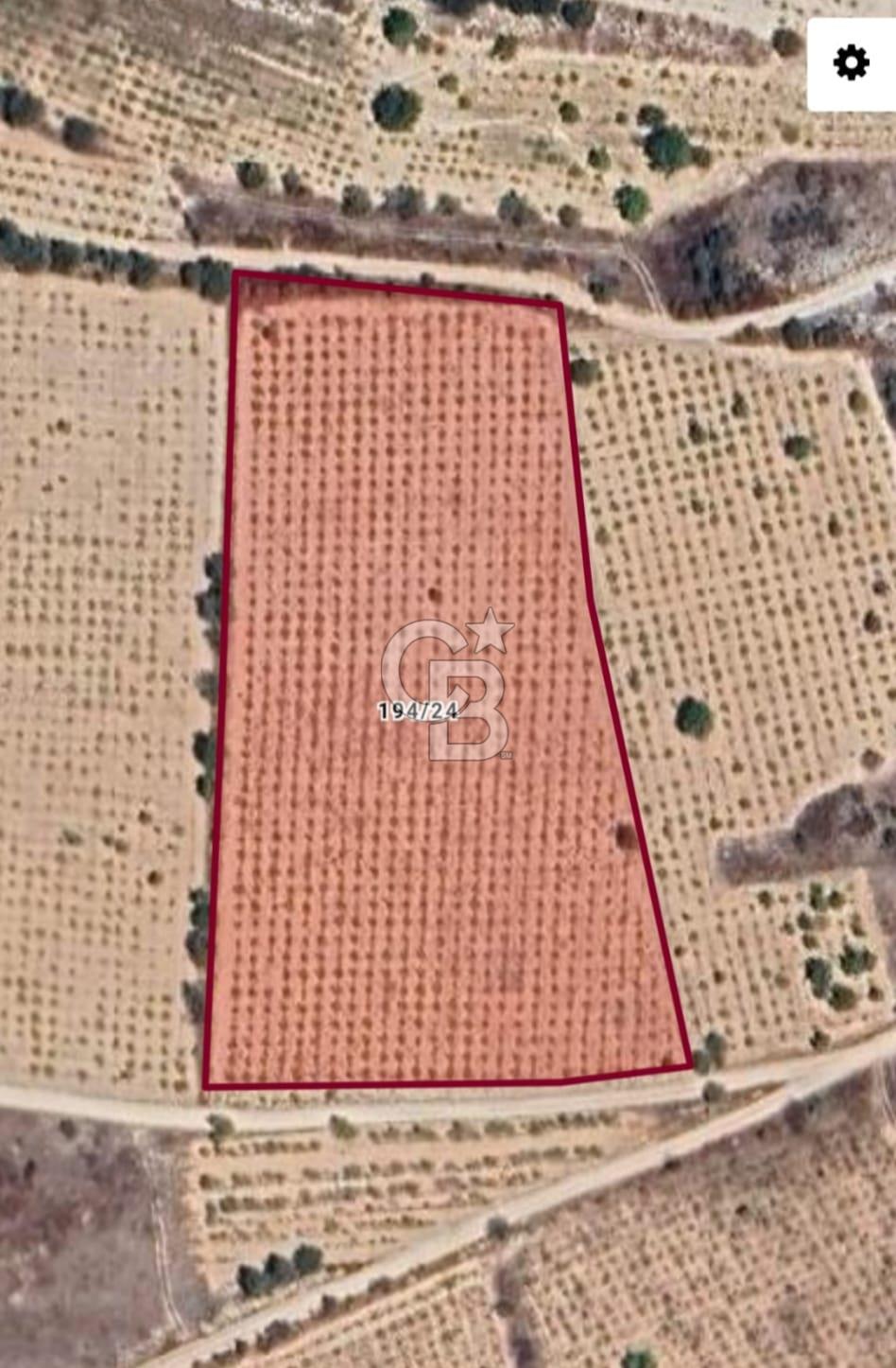 Denizli,Bekilli,Yeşiloba,Yenicesu'da üzüm bağı 