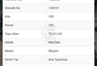 Denizli,Bekilli,Yeşiloba,Öküzini'nde tarla - 1 - 318130