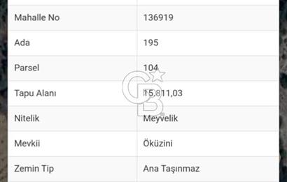 Denizli,Bekilli,Yeşiloba,Öküzini'nde tarla