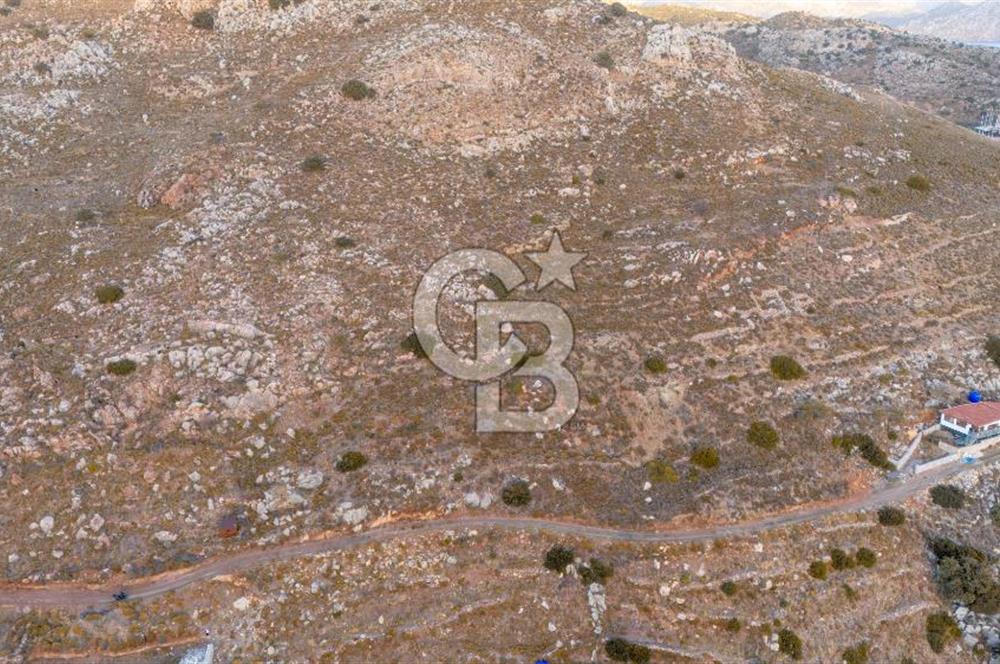 CB MARİNA' DAN BOZBURUN'DA DENİZE YÜRÜME MESAFESİ SATILIK TARLA