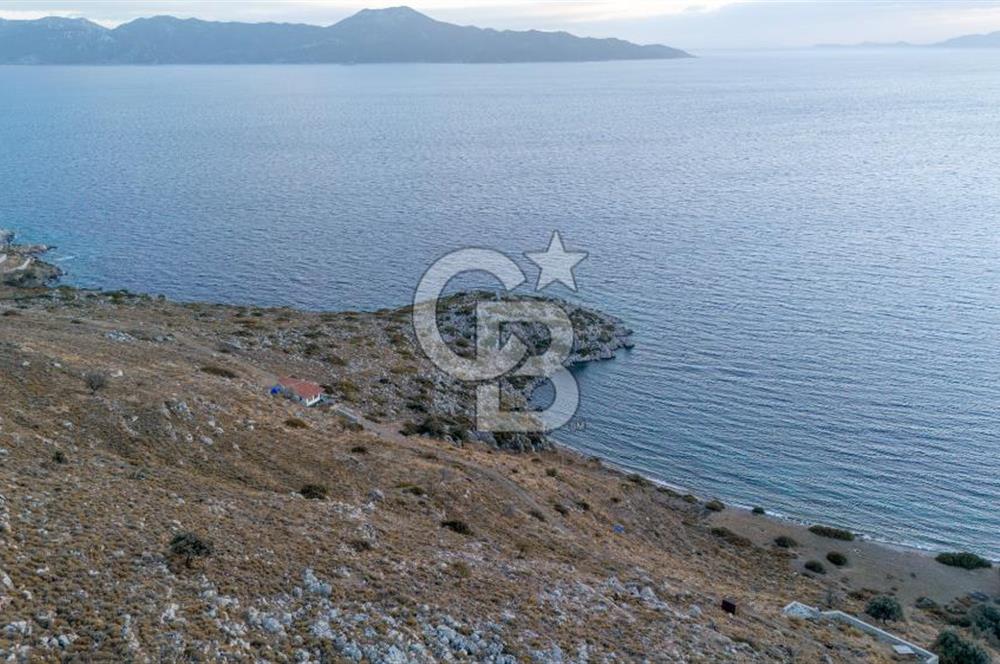 CB MARİNA' DAN BOZBURUN'DA DENİZE YÜRÜME MESAFESİ SATILIK TARLA