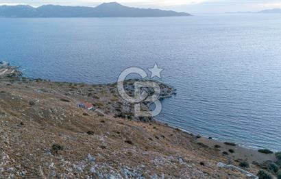 CB MARİNA' DAN BOZBURUN'DA DENİZE YÜRÜME MESAFESİ SATILIK TARLA