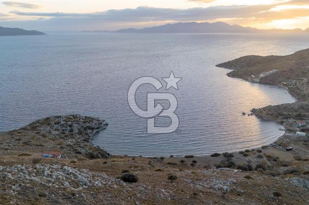 CB MARİNA' DAN BOZBURUN'DA DENİZE YÜRÜME MESAFESİ SATILIK TARLA