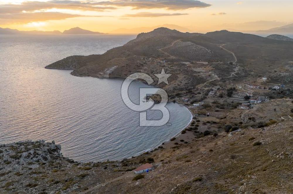 CB MARİNA' DAN BOZBURUN'DA DENİZE YÜRÜME MESAFESİ SATILIK TARLA