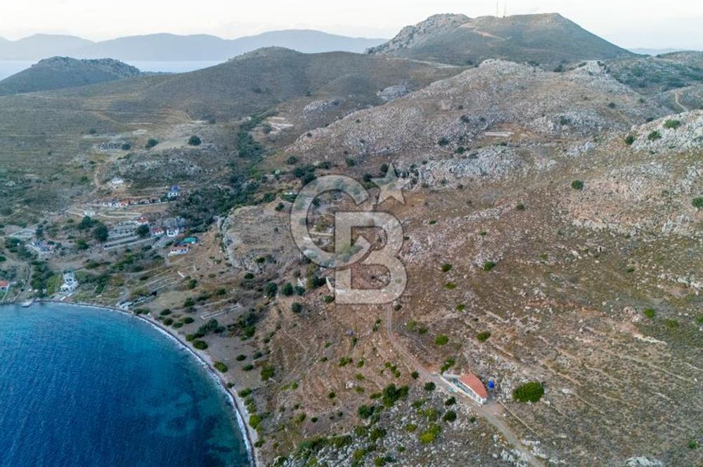 CB MARİNA' DAN BOZBURUN'DA DENİZE YÜRÜME MESAFESİ SATILIK TARLA