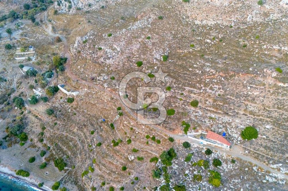 CB MARİNA' DAN BOZBURUN'DA DENİZE YÜRÜME MESAFESİ SATILIK TARLA