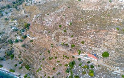 CB MARİNA' DAN BOZBURUN'DA DENİZE YÜRÜME MESAFESİ SATILIK TARLA