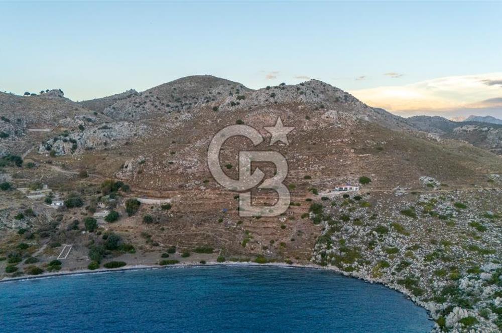 CB MARİNA' DAN BOZBURUN'DA DENİZE YÜRÜME MESAFESİ SATILIK TARLA