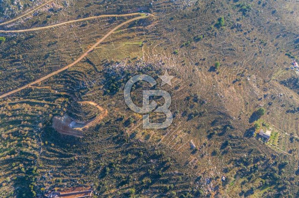 CB MARİNA' DAN BOZBURUN'DA DENİZE YÜRÜME MESAFESİ SATILIK TARLA