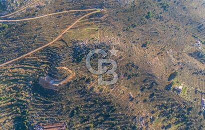 CB MARİNA' DAN BOZBURUN'DA DENİZE YÜRÜME MESAFESİ SATILIK TARLA