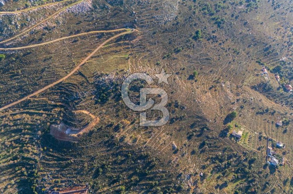 CB MARİNA' DAN BOZBURUN'DA DENİZE YÜRÜME MESAFESİ SATILIK TARLA