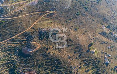 CB MARİNA' DAN BOZBURUN'DA DENİZE YÜRÜME MESAFESİ SATILIK TARLA