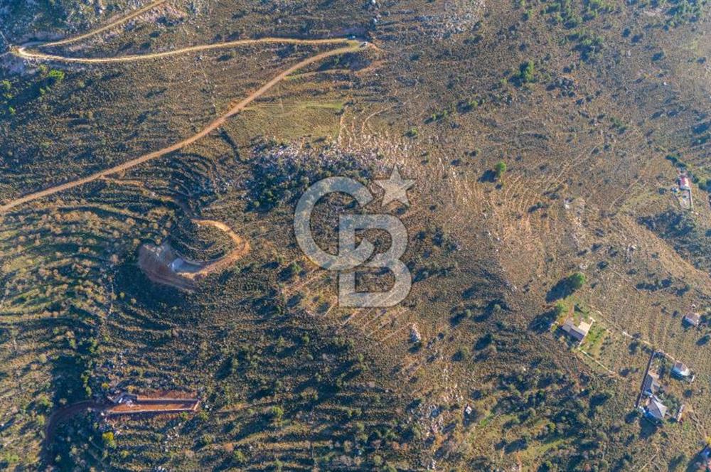 CB MARİNA' DAN BOZBURUN'DA DENİZE YÜRÜME MESAFESİ SATILIK TARLA