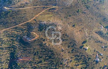 CB MARİNA' DAN BOZBURUN'DA DENİZE YÜRÜME MESAFESİ SATILIK TARLA