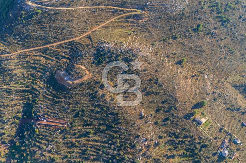 CB MARİNA' DAN BOZBURUN'DA DENİZE YÜRÜME MESAFESİ SATILIK TARLA