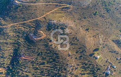 CB MARİNA' DAN BOZBURUN'DA DENİZE YÜRÜME MESAFESİ SATILIK TARLA