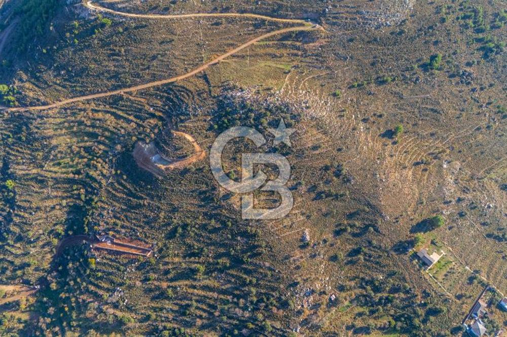 CB MARİNA' DAN BOZBURUN'DA DENİZE YÜRÜME MESAFESİ SATILIK TARLA