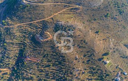 CB MARİNA' DAN BOZBURUN'DA DENİZE YÜRÜME MESAFESİ SATILIK TARLA