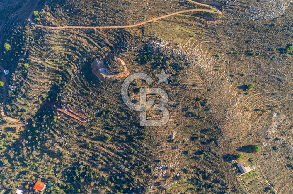 CB MARİNA' DAN BOZBURUN'DA DENİZE YÜRÜME MESAFESİ SATILIK TARLA