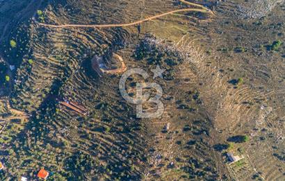 CB MARİNA' DAN BOZBURUN'DA DENİZE YÜRÜME MESAFESİ SATILIK TARLA