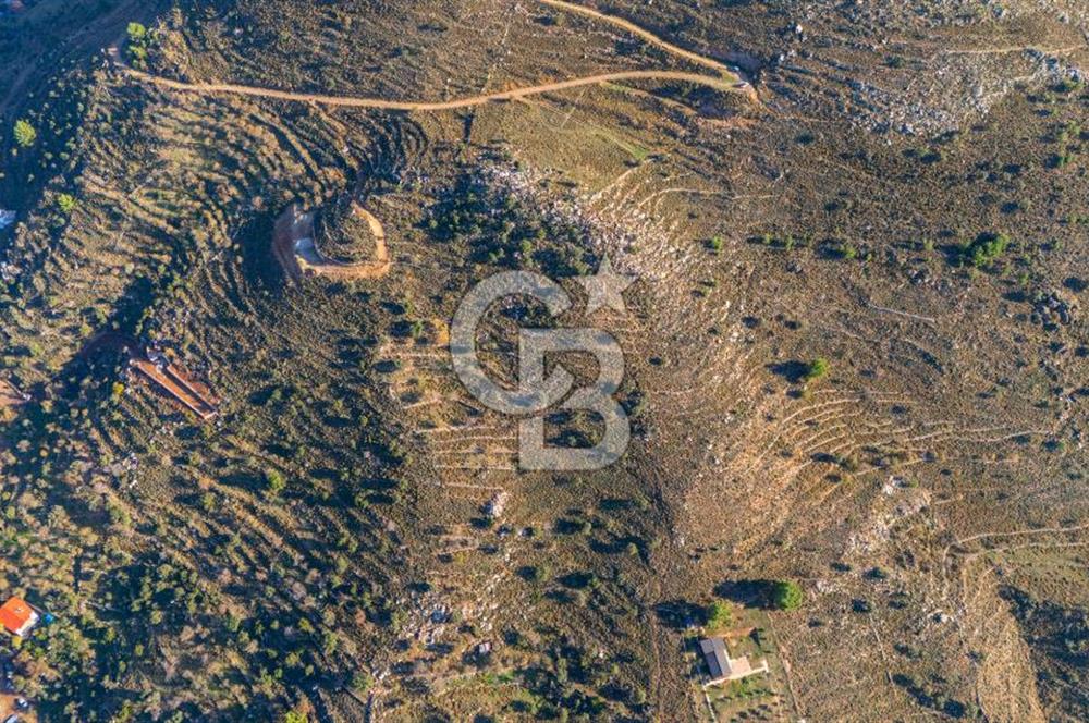 CB MARİNA' DAN BOZBURUN'DA DENİZE YÜRÜME MESAFESİ SATILIK TARLA