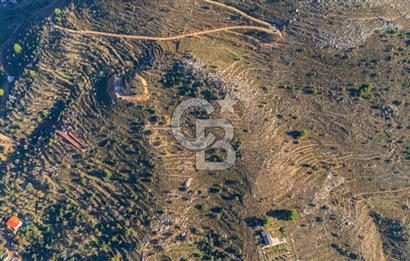 CB MARİNA' DAN BOZBURUN'DA DENİZE YÜRÜME MESAFESİ SATILIK TARLA