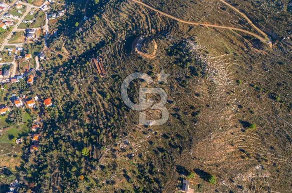 CB MARİNA' DAN BOZBURUN'DA DENİZE YÜRÜME MESAFESİ SATILIK TARLA