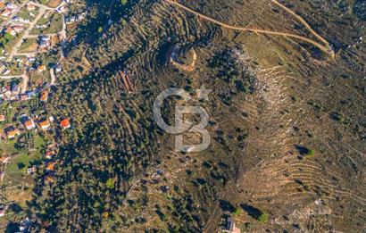 CB MARİNA' DAN BOZBURUN'DA DENİZE YÜRÜME MESAFESİ SATILIK TARLA