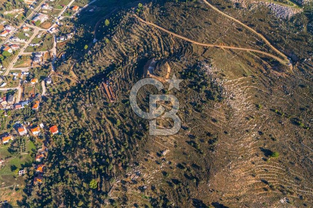 CB MARİNA' DAN BOZBURUN'DA DENİZE YÜRÜME MESAFESİ SATILIK TARLA