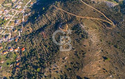 CB MARİNA' DAN BOZBURUN'DA DENİZE YÜRÜME MESAFESİ SATILIK TARLA