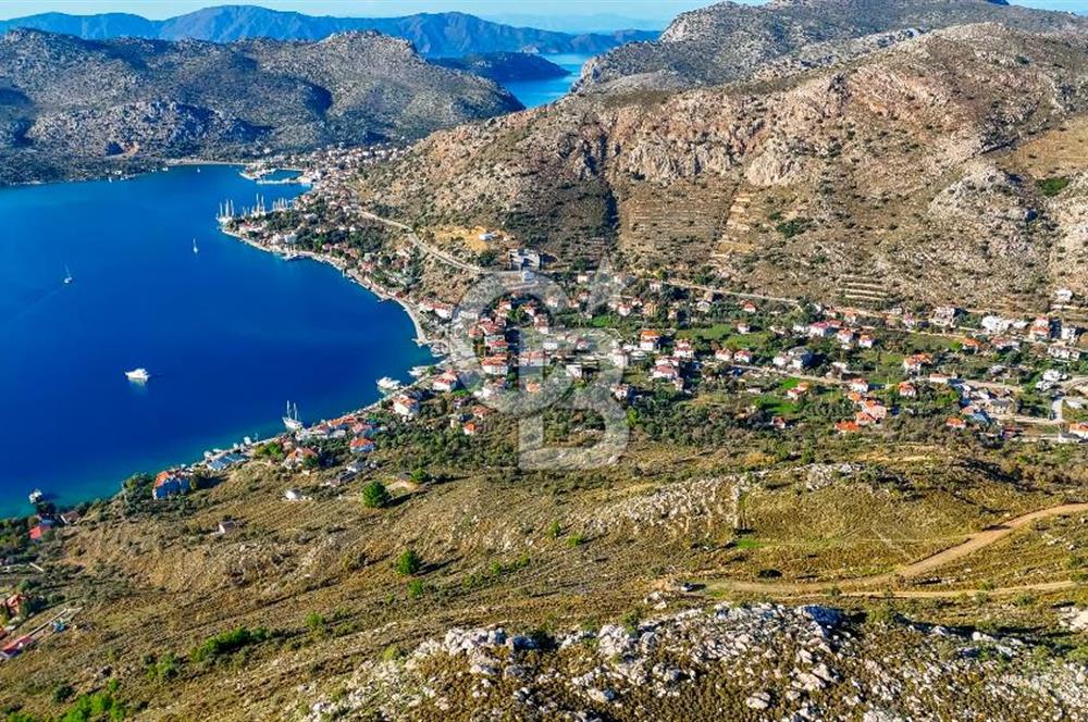 CB MARİNA' DAN BOZBURUN'DA DENİZE YÜRÜME MESAFESİ SATILIK TARLA