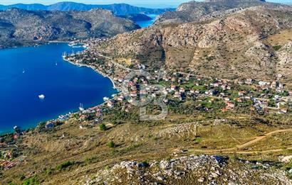 CB MARİNA' DAN BOZBURUN'DA DENİZE YÜRÜME MESAFESİ SATILIK TARLA