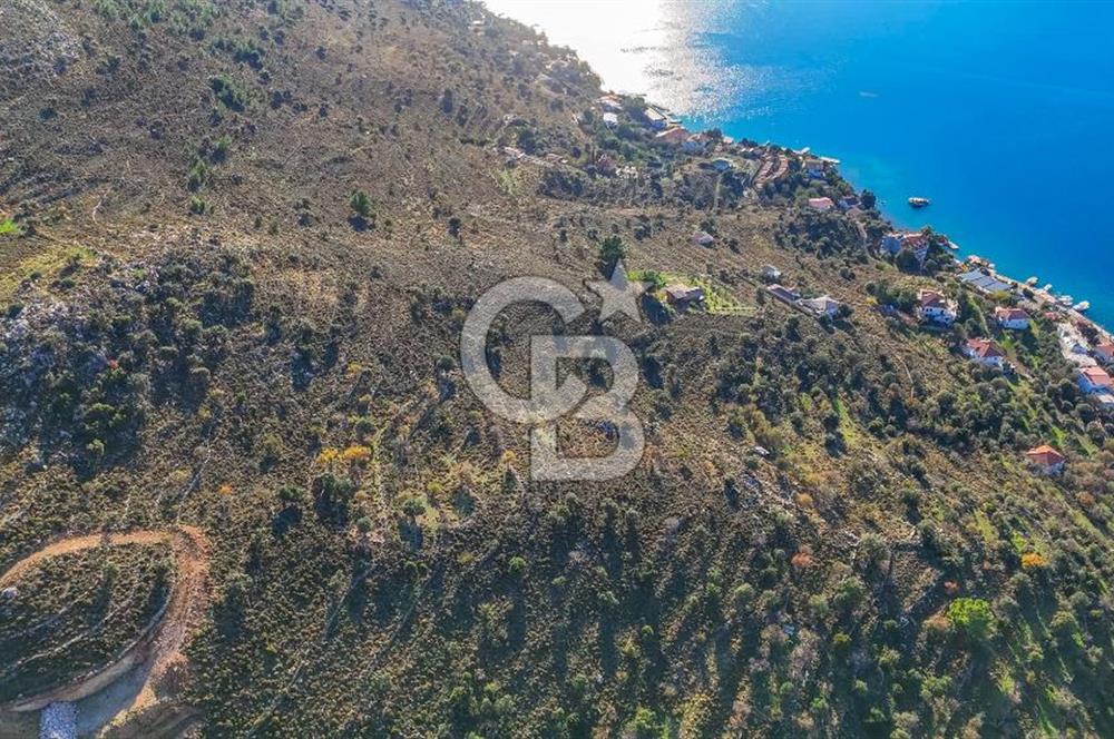 CB MARİNA' DAN BOZBURUN'DA DENİZE YÜRÜME MESAFESİ SATILIK TARLA