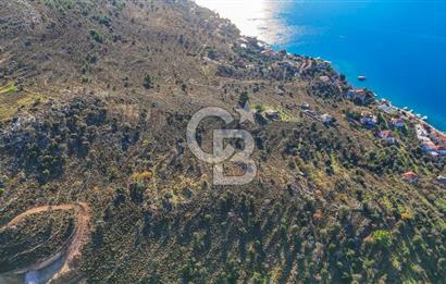 CB MARİNA' DAN BOZBURUN'DA DENİZE YÜRÜME MESAFESİ SATILIK TARLA